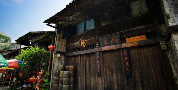 天鹅森林逃脱